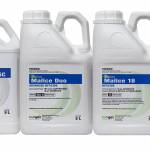 Indigo Specialty Products