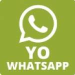 yowhatsappapk 