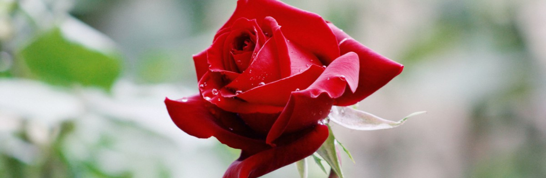 CoreyLe168 CoreyLe168