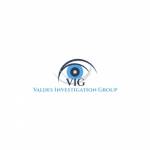 Valdes Investigation Group 