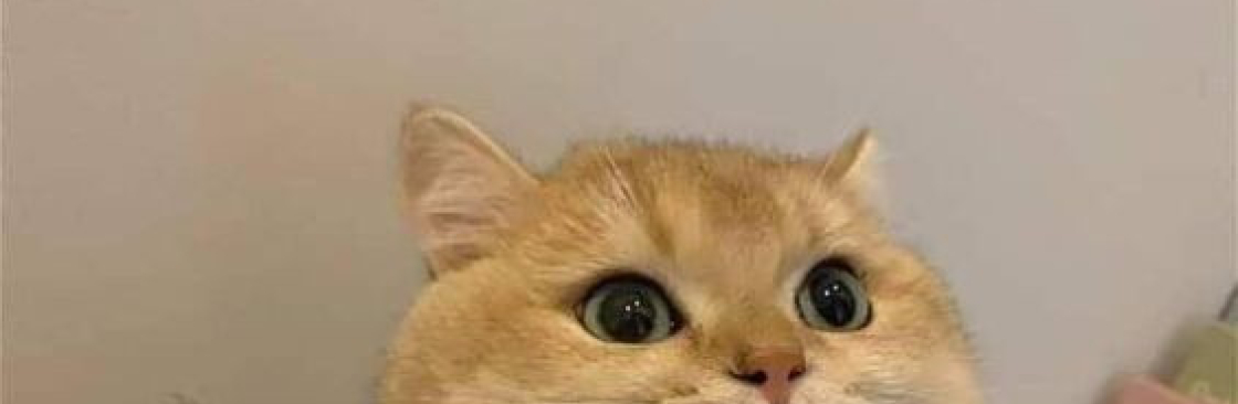 lalala311099 lalala311099