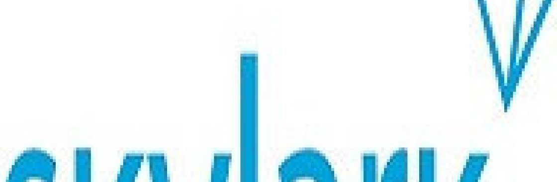 Skylark SD WAN Services