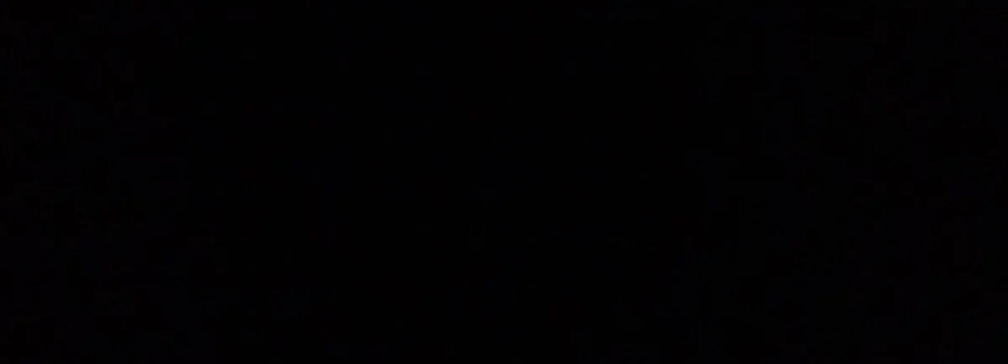 Palm Aluminum and Glass Palm Aluminum and Glass