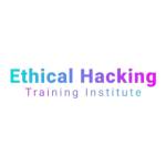 Ethical Hacking Training Institute