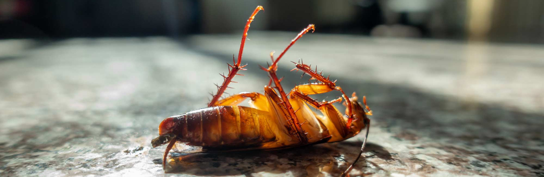 Century Pest Control