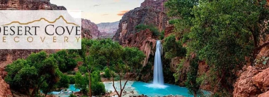 Desert Cove Recovery