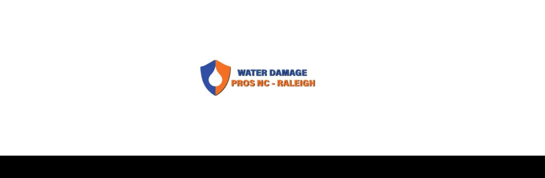 the Water Damage Pros Raleigh nc