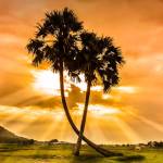 hasenshowerdrain hasenshowerdrain