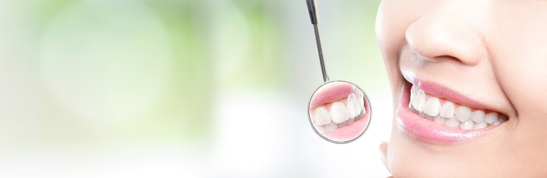 Shenzhen Spring Dental Laboratory