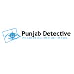 Punjab Detective