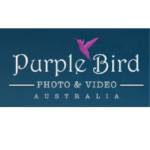 Purple Bird Photo