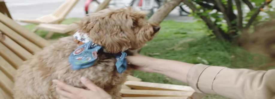 DESIGNER KENNEL CLUB 