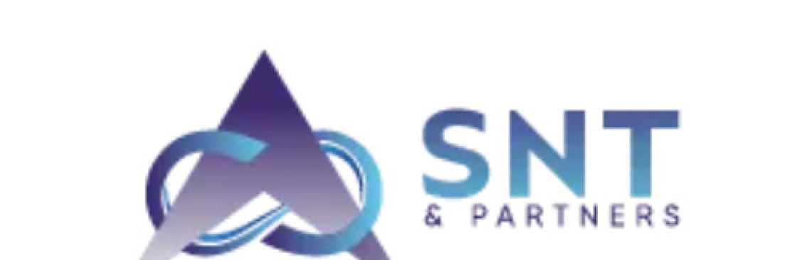 SNT Partners