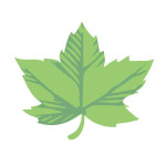 Frontier Tree Services