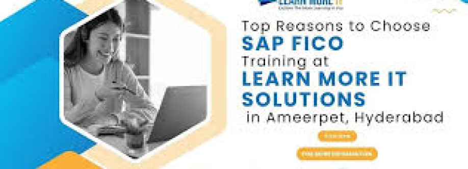 S.A.P fico institute in Ameerpet