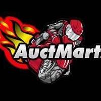 Auctmarts Fairing