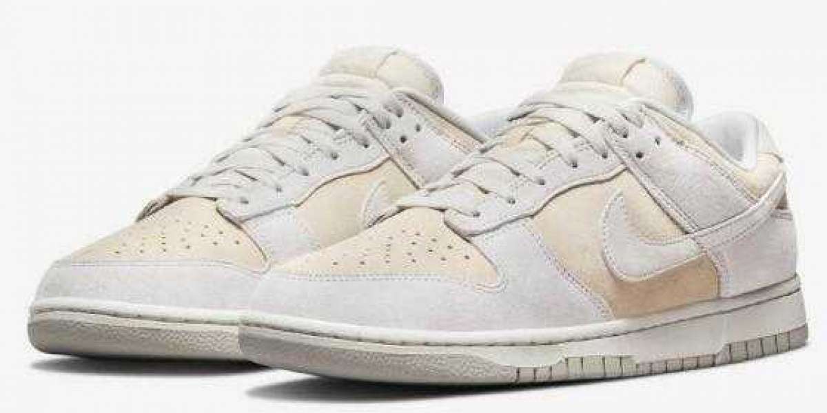 the Nike Dunk Low Vast Grey Perfect for running