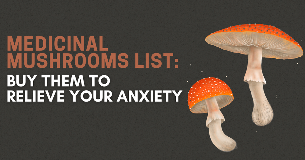 Medicinal Mushrooms List: Top Medicinal Mushrooms For Anxiety Relief