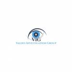 Valdes Investigation Group