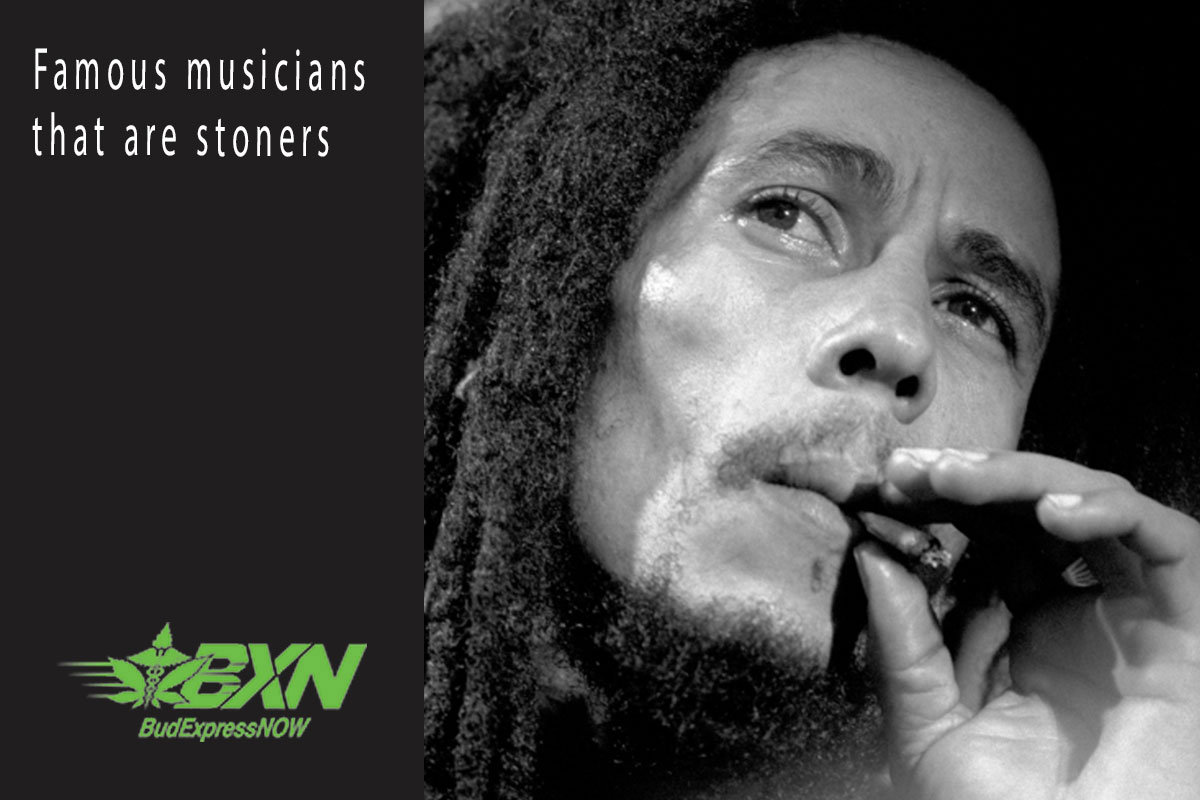 Famous musicians that are stoners - BudExpressNOW.ca