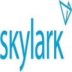 Skylark SD WAN Services