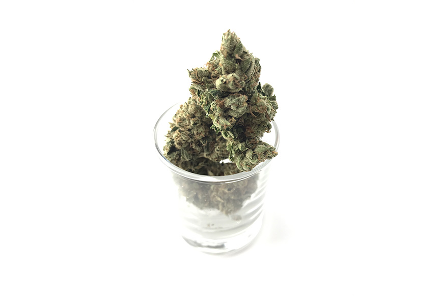 Gelato Weed & 3 Gelato Varieties From Canada's Top Pot Shop