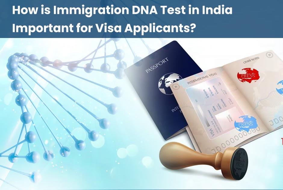 Role of DNA Test in India for Immigration Purposes