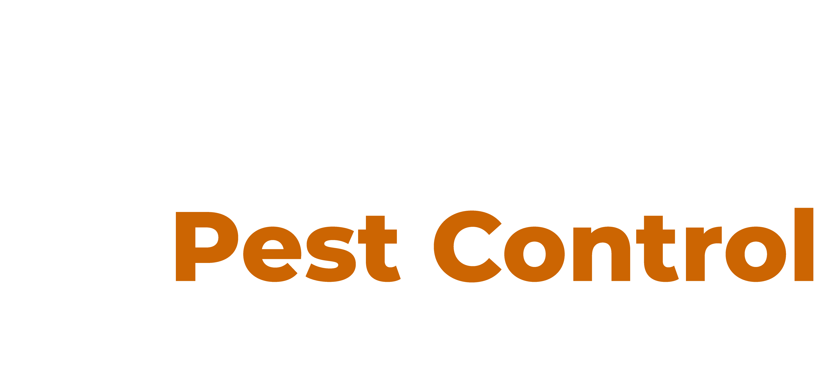 Rodent Control Services | Rodent Removal | Beacon Pest Control