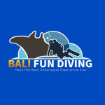 BALI FUN DIVING