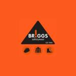 Briggs Wear Wear