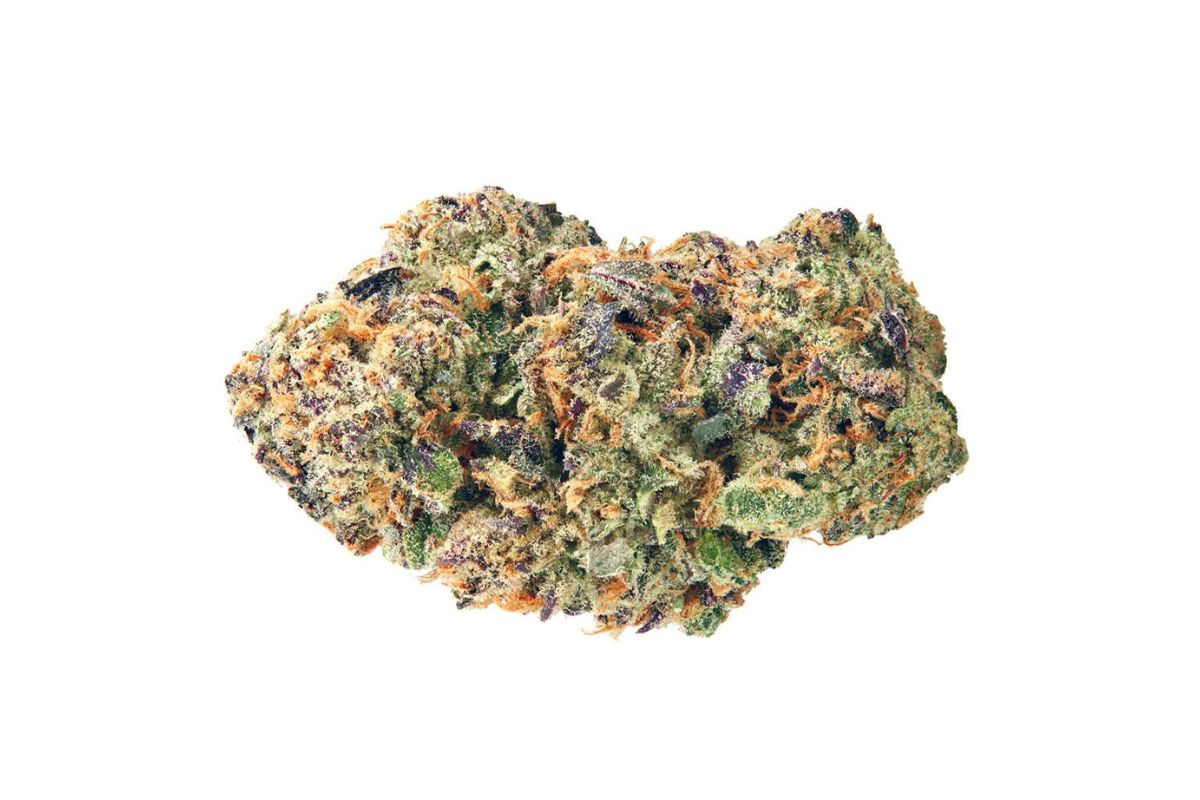 Top Shelf BC Bud Uncovered: 5 Legendary Weed Strains To Try