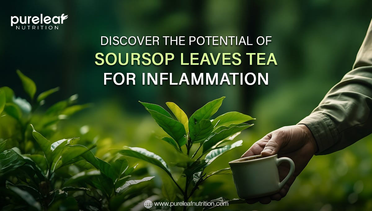 Discover the Potential of Soursop Leaves Tea for Inflammation | by Pureleaf Nutrition | Jan, 2025 | Medium