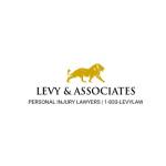 levyinjurylaw