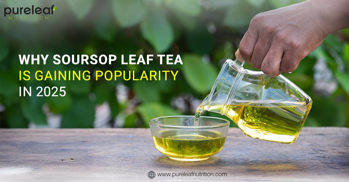 Why Soursop Leaf Tea is Gaining Popularity in 2025 | Medium