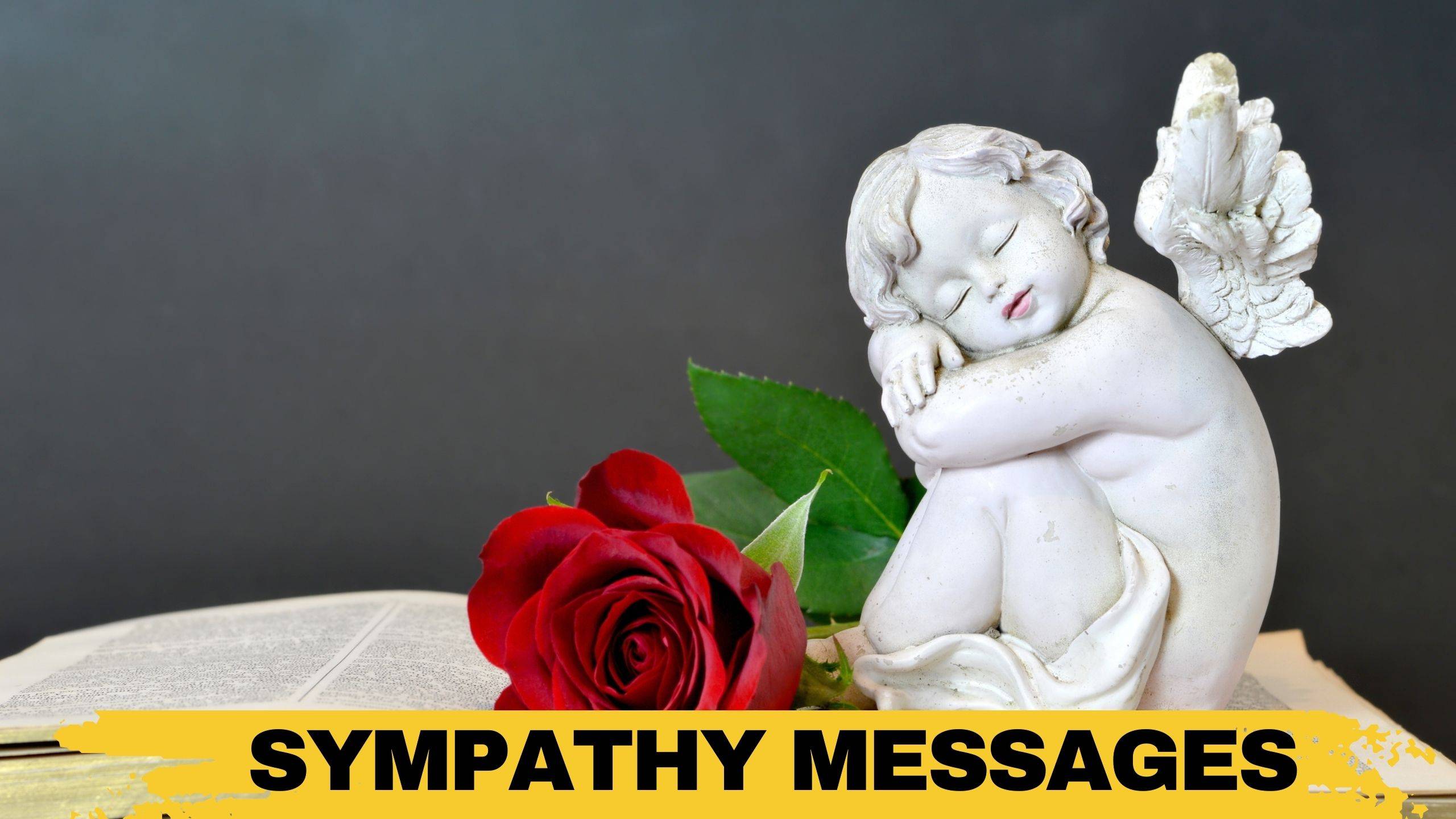 210+ Sympathy Messages for a Friend Experiencing Loss - Rosct