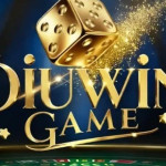 Diuwin game