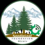 needleleaf foundation