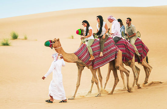 Experience the Best of Doha with an Exciting City Tour - Lets Blog