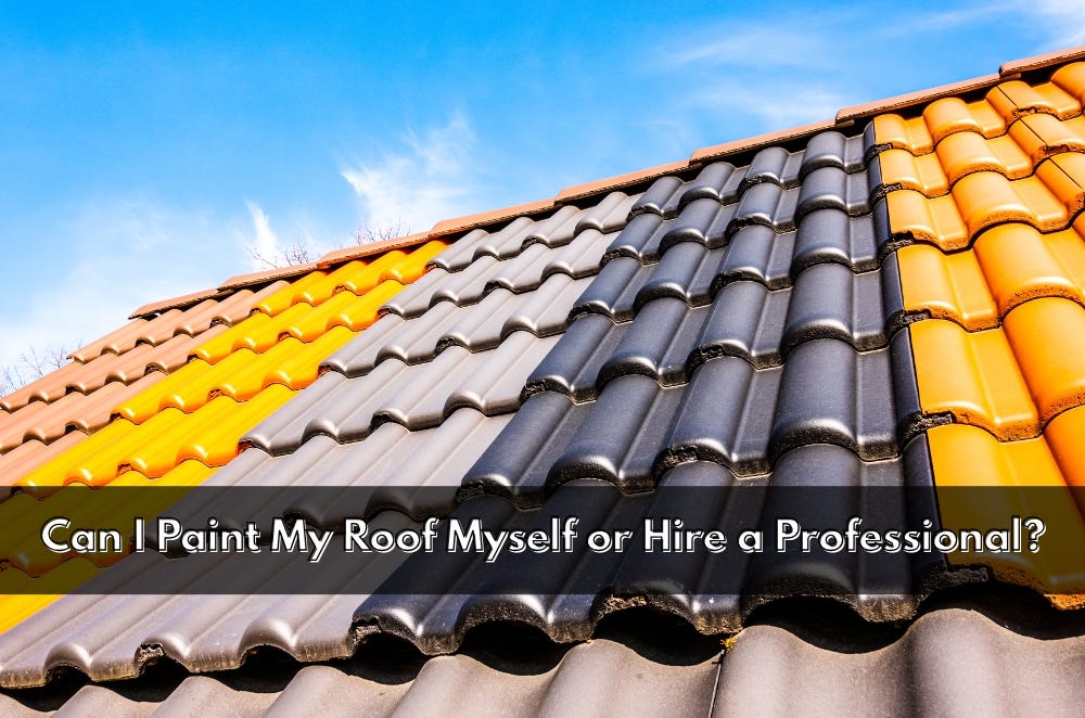Can I Paint My Roof Myself or Hire a Professional? | by Barbie Fex | Apr, 2025 | Medium