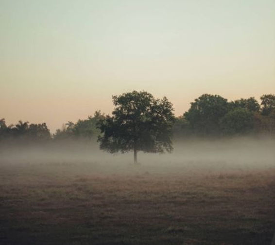 The Importance of Reporting Empty Buildings in the UK – Why Is It Crucial?
