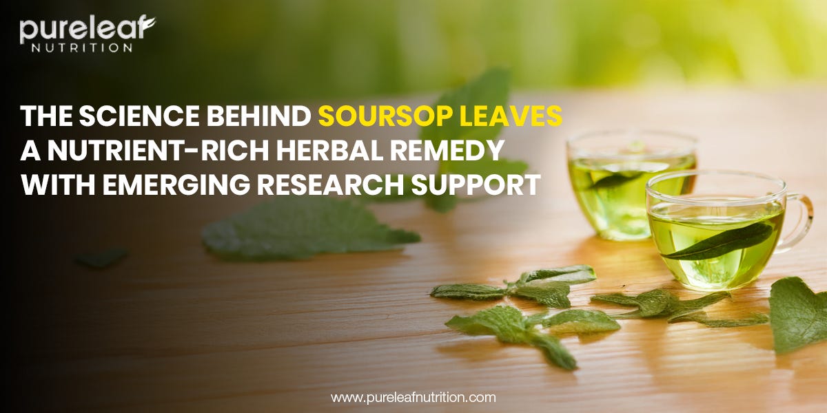 The Science Behind Soursop Leaves: A Nutrient-Rich Herbal Remedy With Emerging Research Support | by Pureleaf Nutrition | Apr, 2025 | Medium