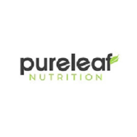 The Rise of Soursop Leaves Tea in 2025 Wellness Trends -  TheOmniBuzz