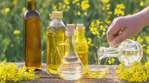 Canola Oil Provider Near Me? Discover Why Vikmar Foods is the First Choice for Local & Large-Scale Buyers – TeamCnut