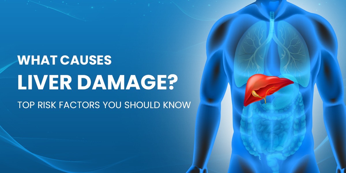 What Causes Liver Damage? Top Risk Factors You Should Know
