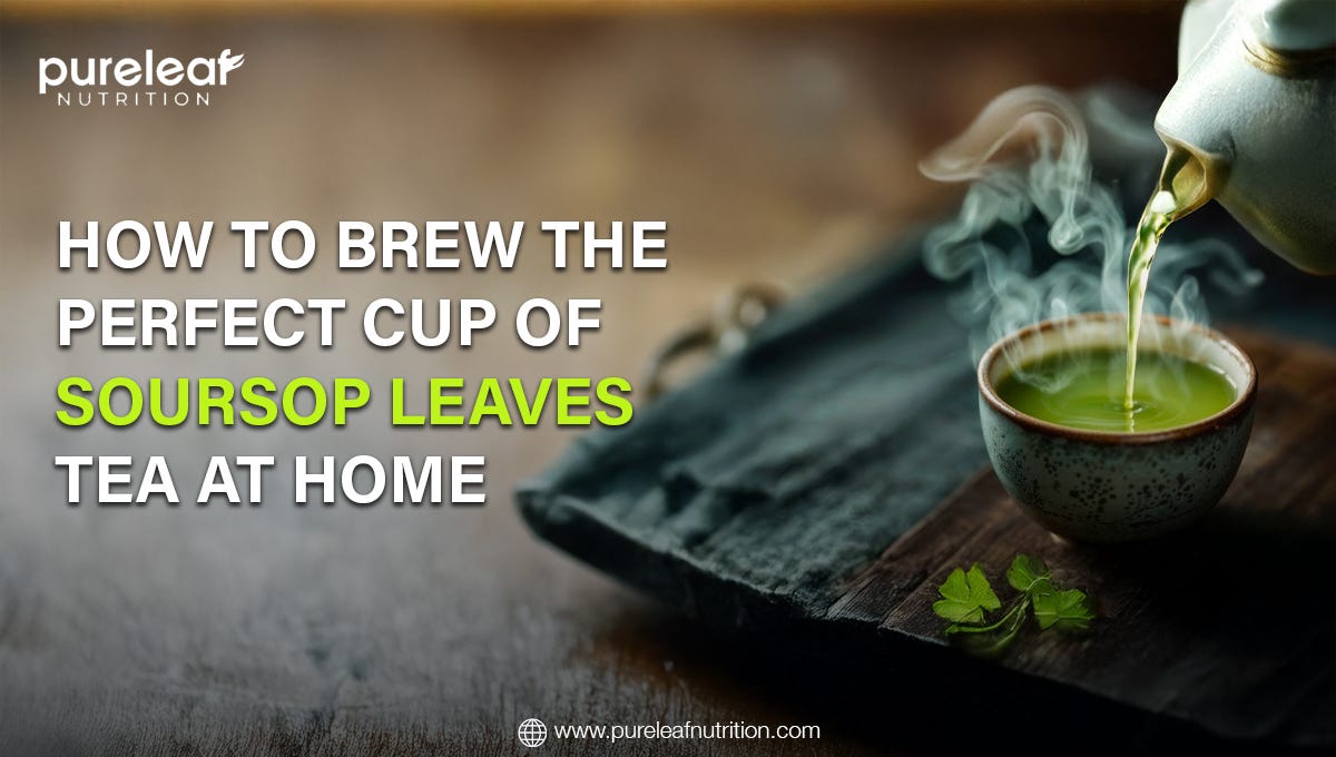 How to Brew the Perfect Cup of Soursop Leaves Tea at Home | by Pureleaf Nutrition | Apr, 2025 | Medium