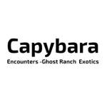 Ghost Ranch Exotics