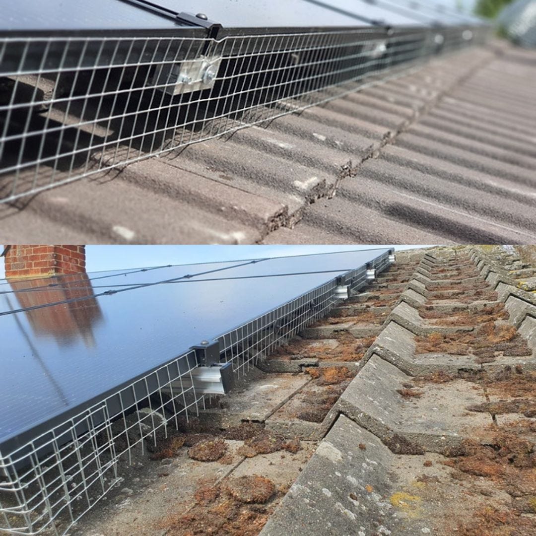 How to Keep Birds Away from Solar Panels Safely | by DS Solar Maintenance | Jun, 2025 | Medium