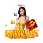 Bandar Alexistogel
