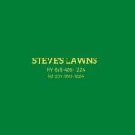 Steves Lawns Inc