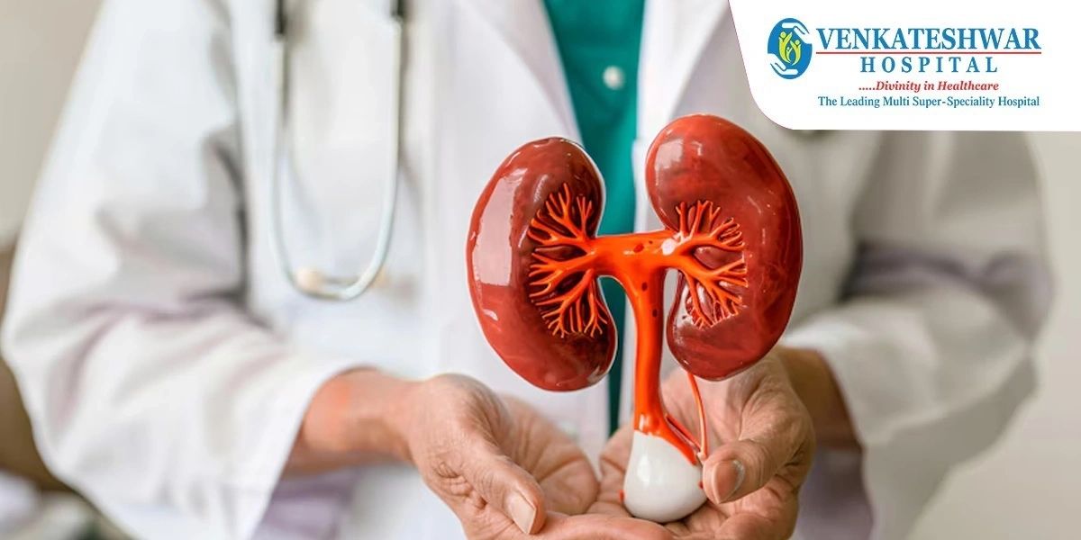 Understanding the Role of a Kidney Specialist Doctor